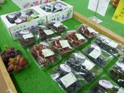 ぶどう、もも入荷しました！