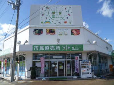 さといも入荷しました！
