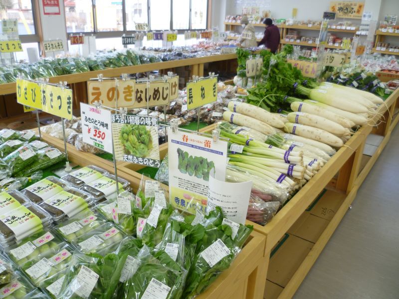暖冬の菜なポート