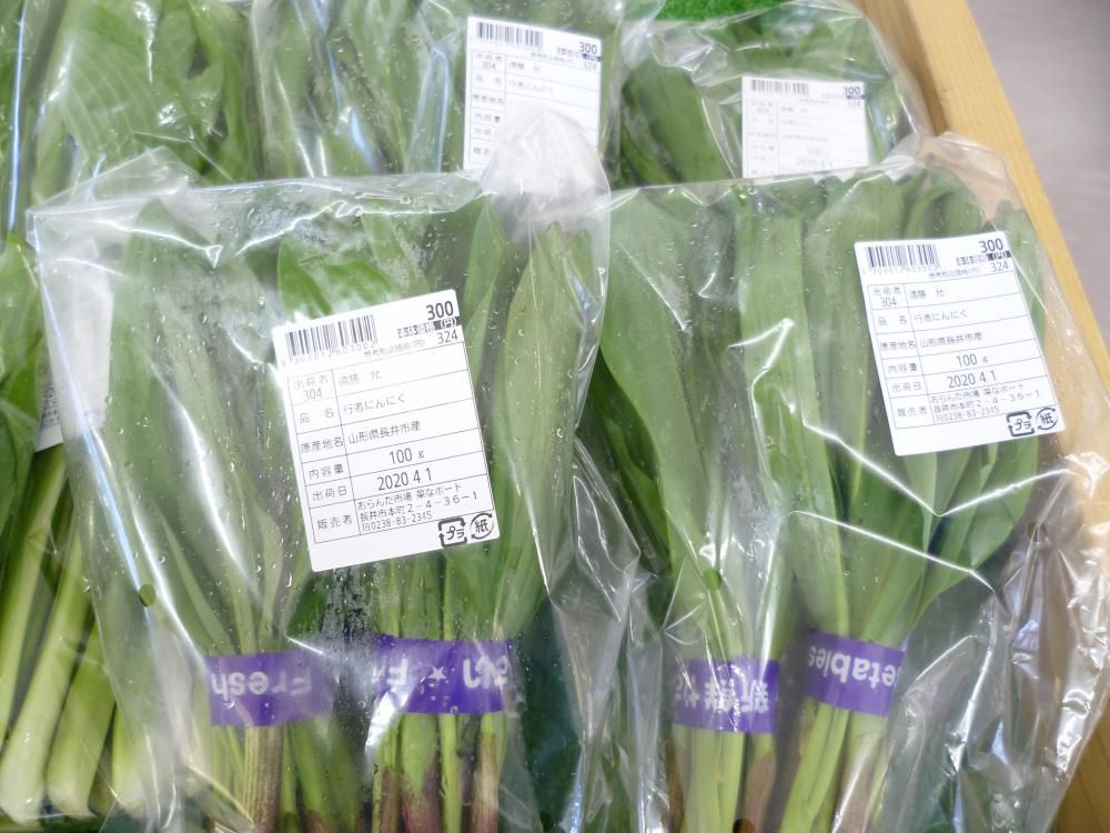 春が旬！の山菜・野菜たち