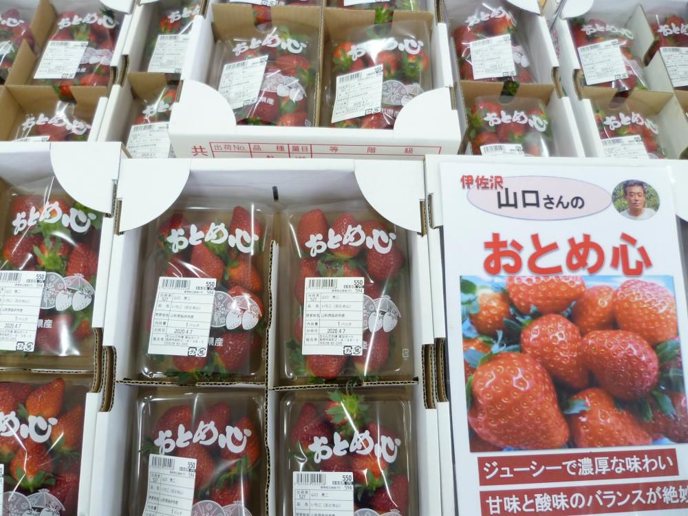 今日も新鮮野菜盛だくさん