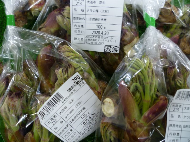 “山菜の王様”　タラの芽＆ふきのとう味噌