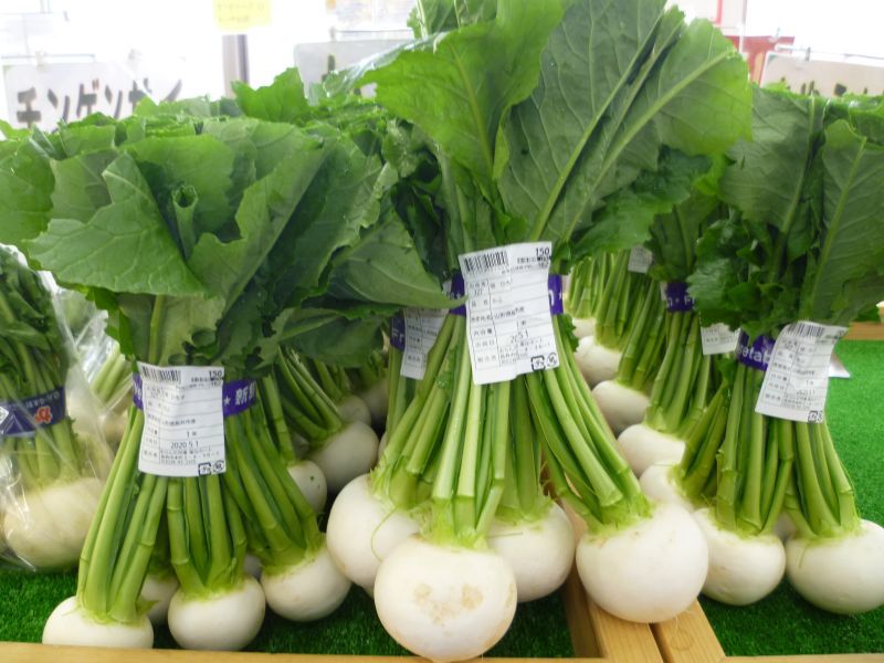 生産者こだわりの野菜が充実