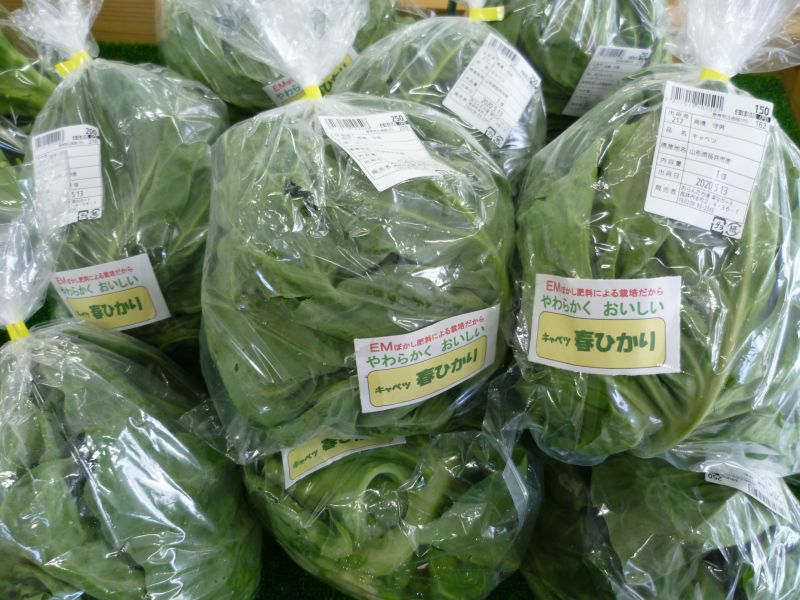 食卓の味方 “旬野菜”