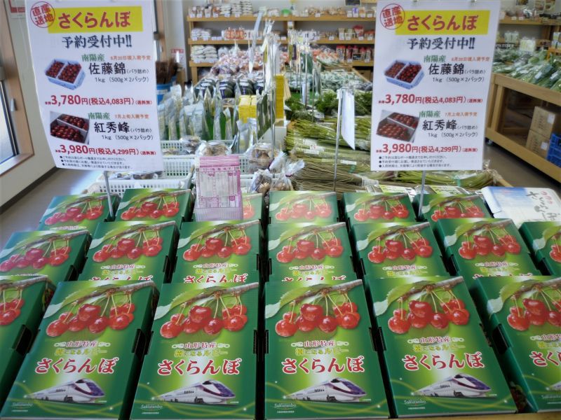 さくらんぼ（佐藤錦・紅秀峰）ご予約賜ります！