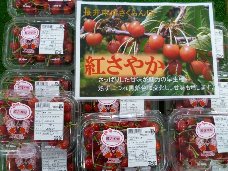 地物「さくらんぼ（紅さやか）」入荷しました！