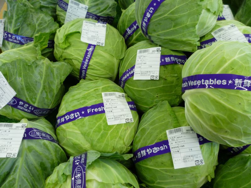 夏野菜が続々！
