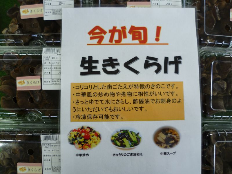 肉厚プリップリ食感 「生きくらげ」