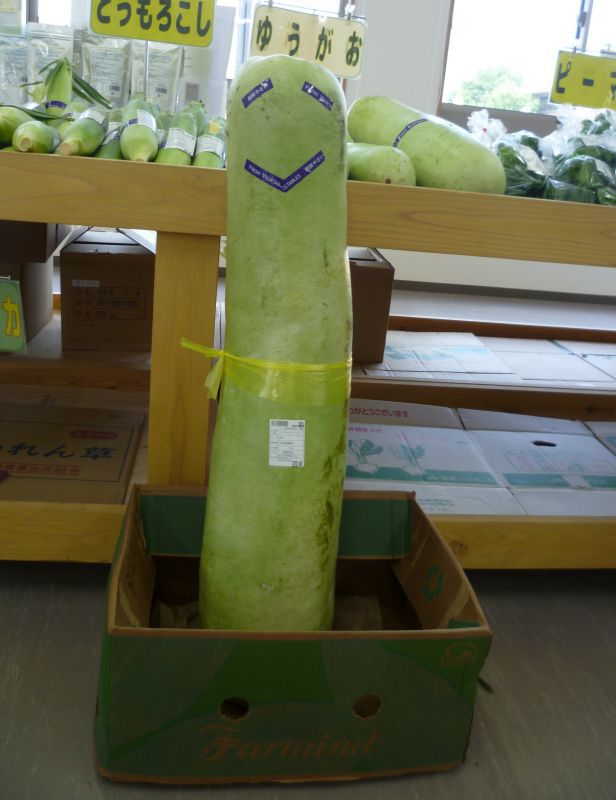お出迎えしています(^O^)／