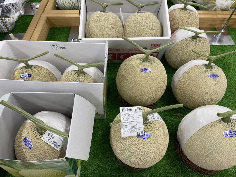 長井産メロン入荷しました！