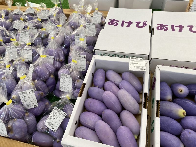 秋の味覚 “あけび”