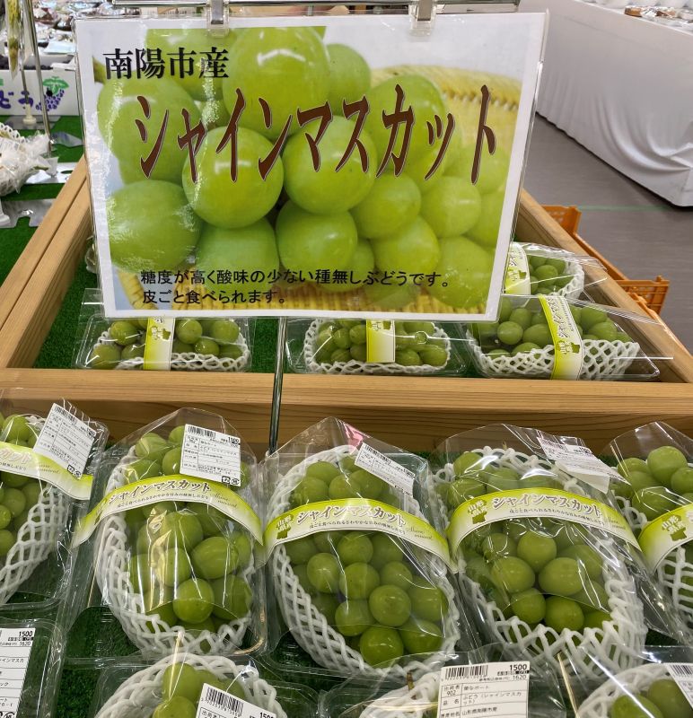 冬のシャインマスカット