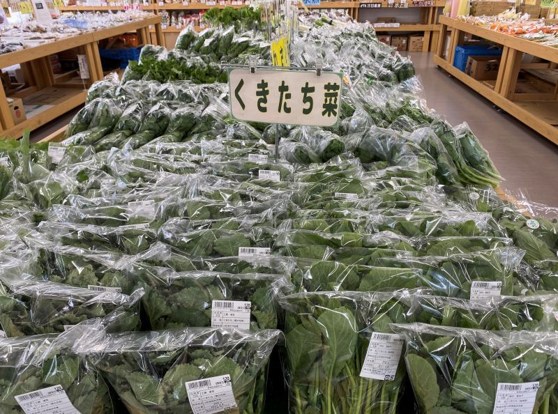 店内は･･･　［緑］