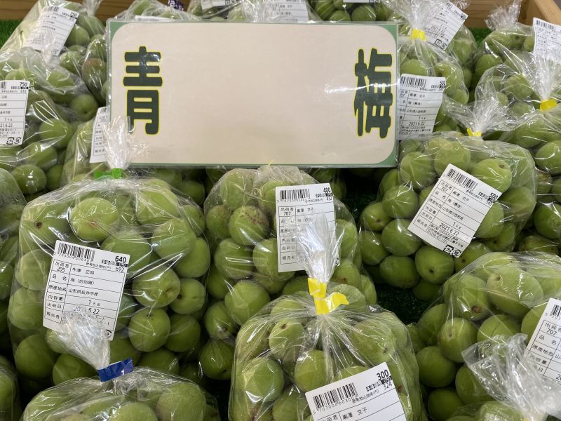 梅の季節ですね