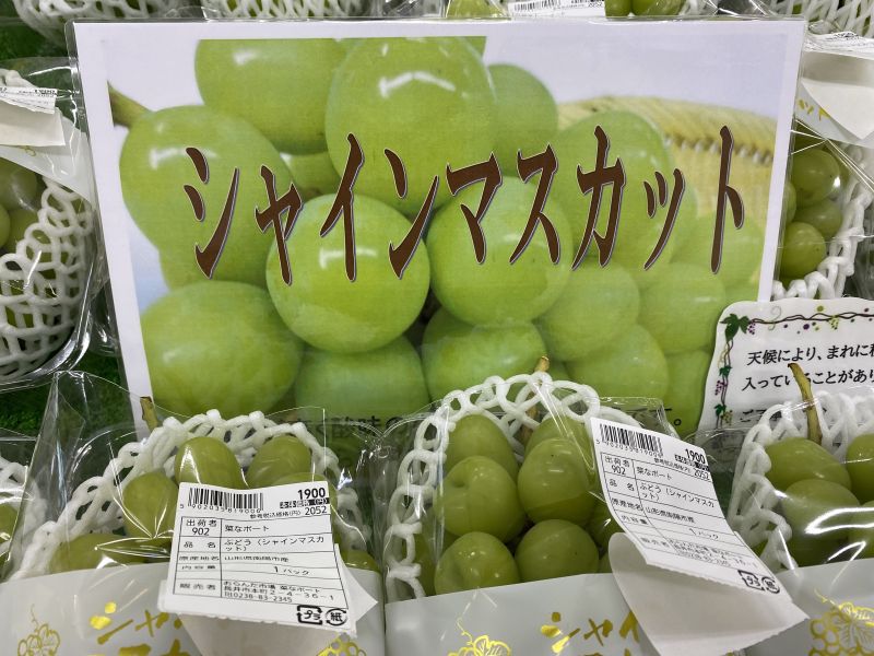 大好評！シャインマスカット