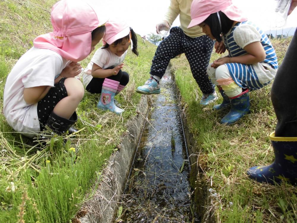 おたまじゃくし遠足