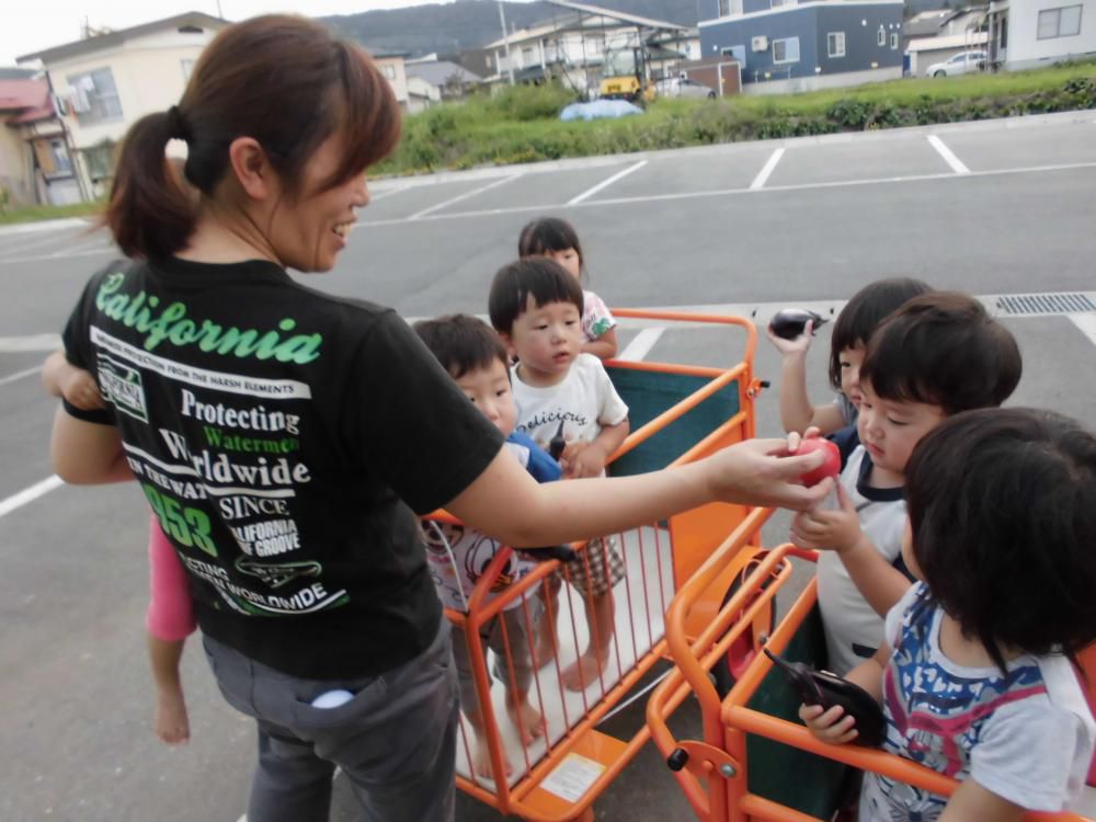野菜の収穫（乳児組）