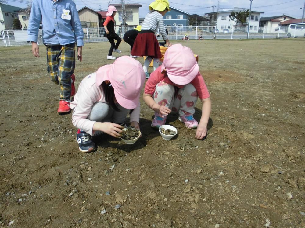 園庭の石拾いに奮闘!!