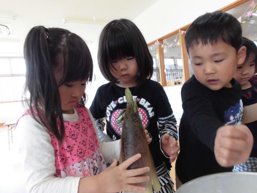 筍の皮むき（その①幼児組編）
