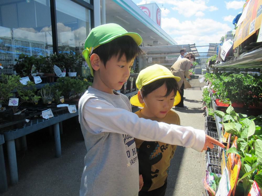 畑活動（幼児組）