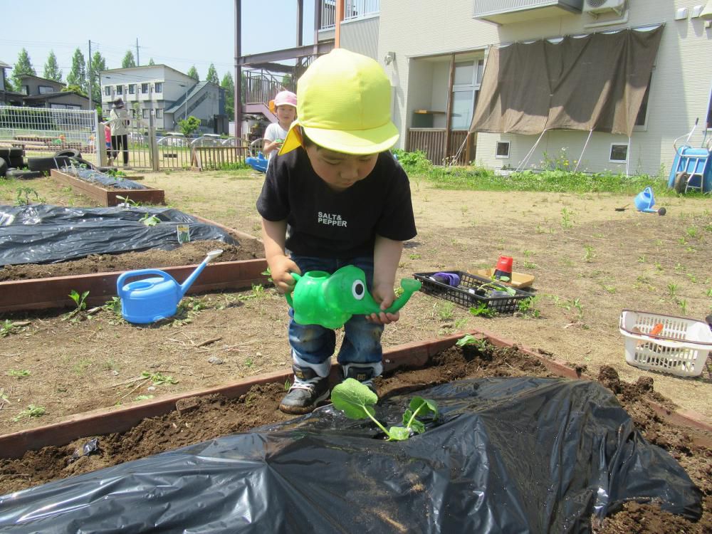 畑活動（幼児組）Part２