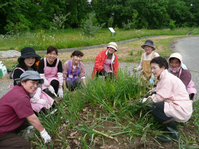 南陽市商工会女性部・花壇できました！