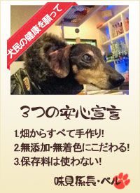 ドッグガレージ　がYBCで紹介されます。