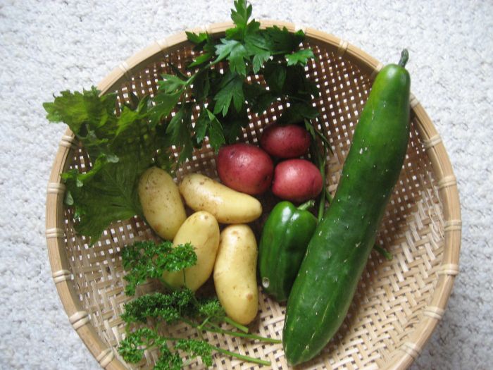 ちょこっとお野菜できました。