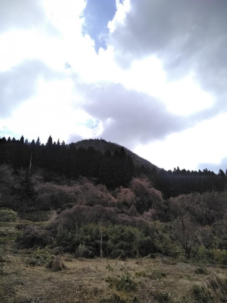 福島県天栄村へお手伝いに