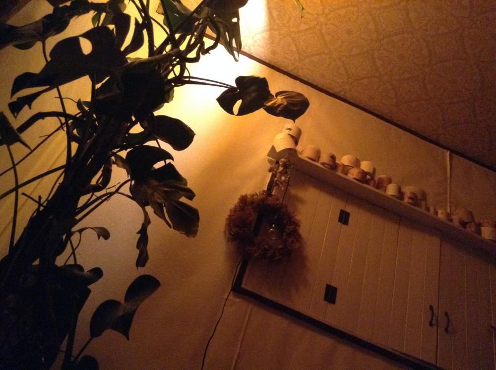 うお座の満月「お月さま瞑想ライブ」ありがとうございました。