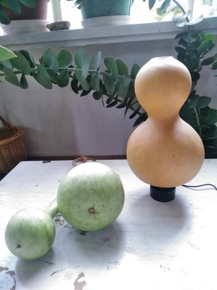 おもちゃみたいな～おしゃべりひょうたんスピーカー作るの巻