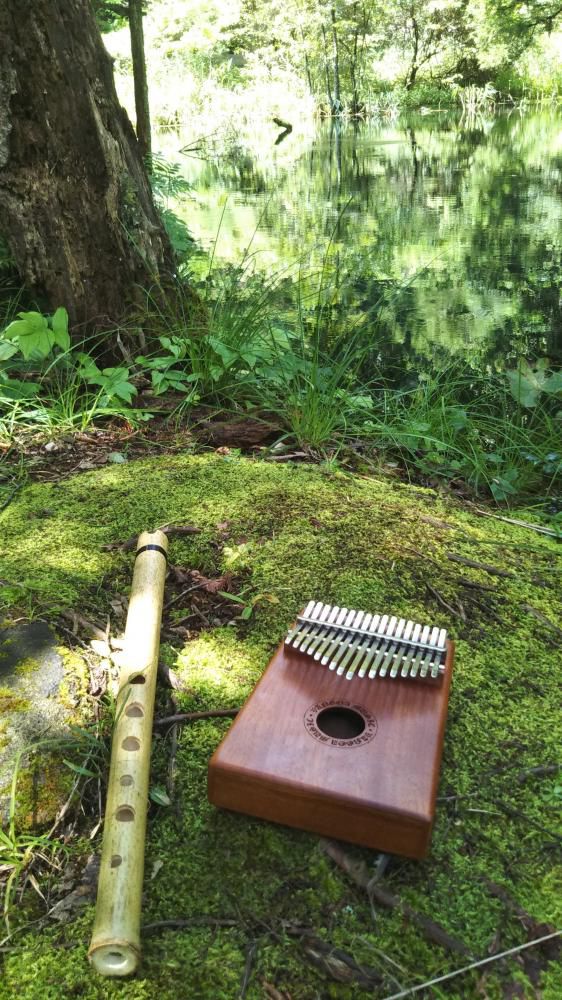 自然の中で音遊び～心も体も満足感で満たされました。ご馳走さまでした。