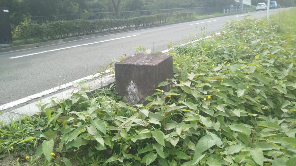 仙台ミステリー探検ごっこ?!