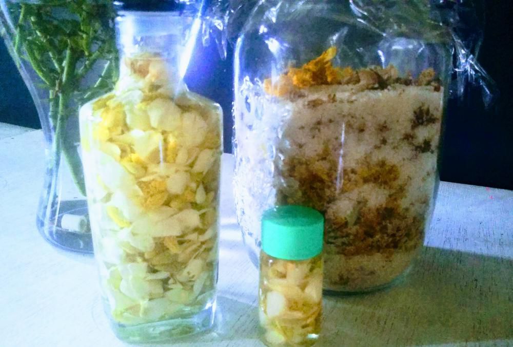 ドクダミの花だけの化粧水つくり