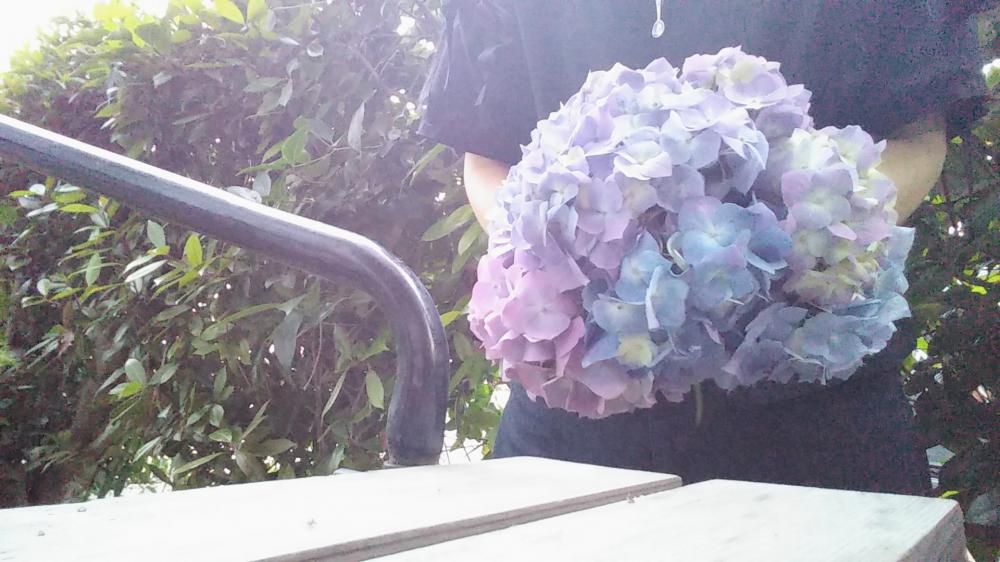 紫陽花のブーケ