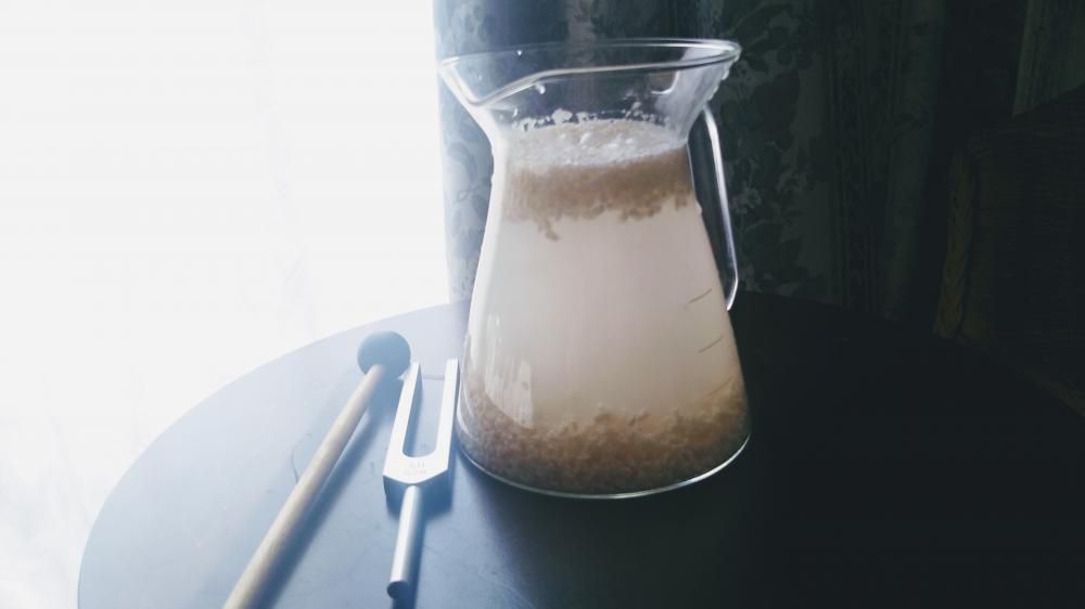 超簡単!麹水つくり