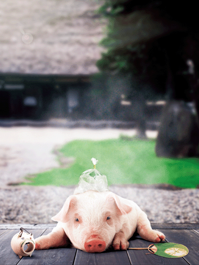 【picture】WaiWai9月号表紙