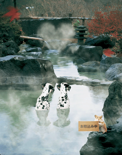【picture】WaiWai10月号表紙