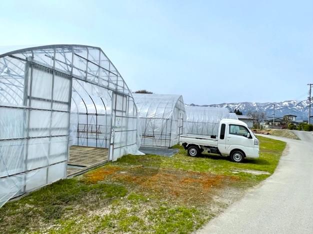 芽の出た苗箱をハウスに運び入れます