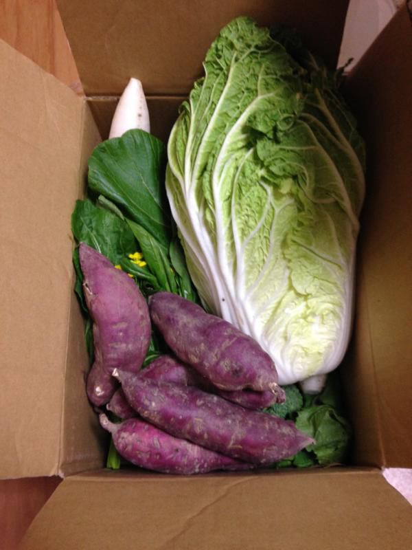 秋のとれたて新鮮野菜盛り！！