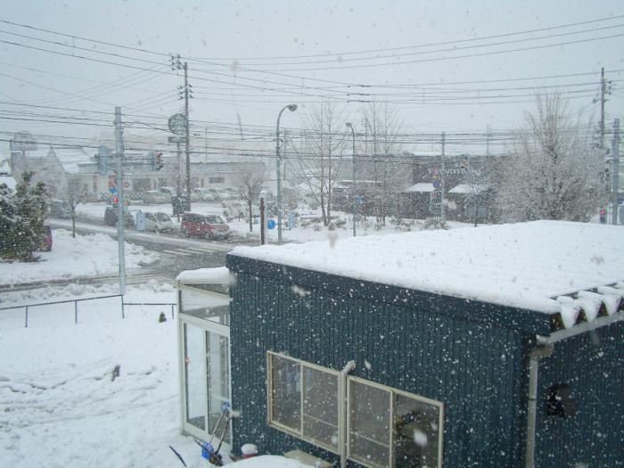 山形も降ってます
