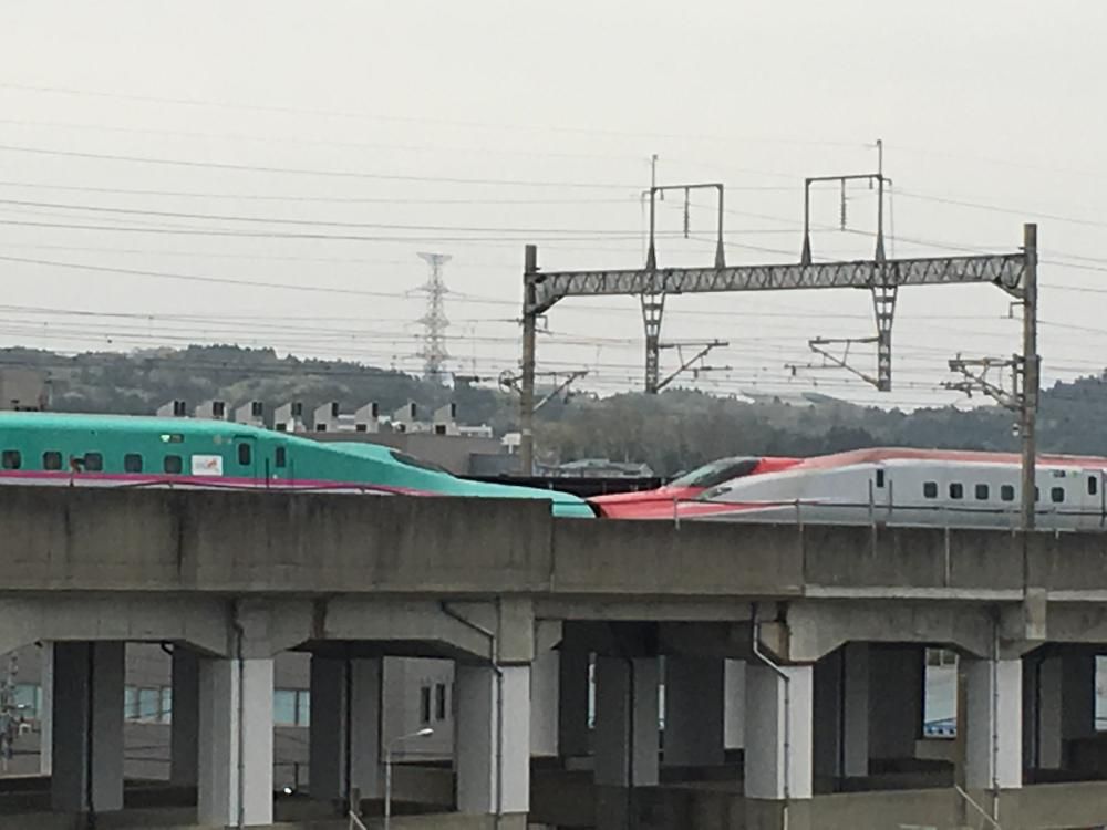 いよいよスタート！