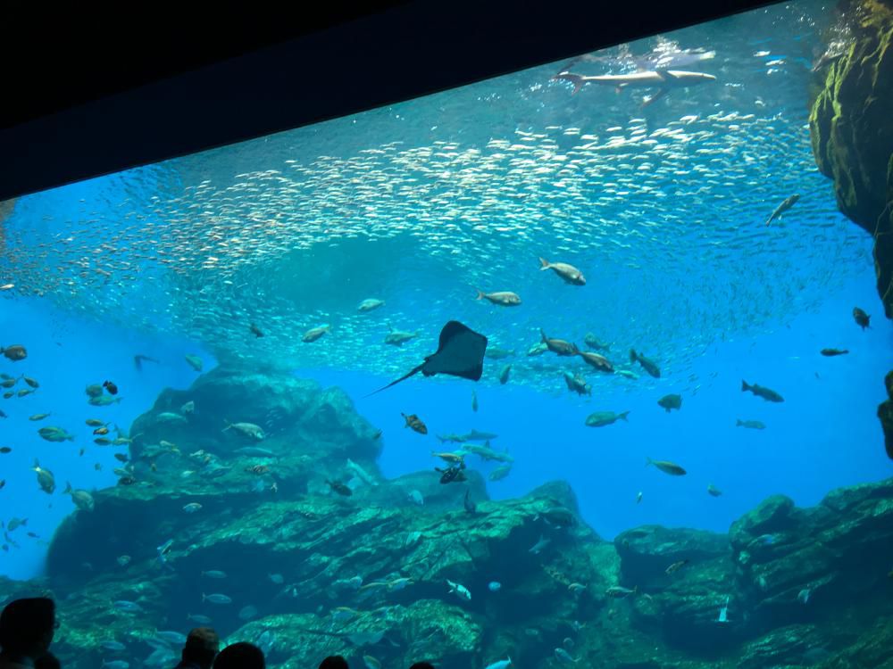 うみの杜水族館