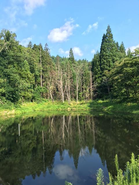 夏の思い出？
