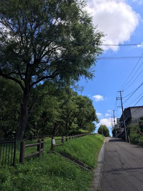 台風一過（＾＾）