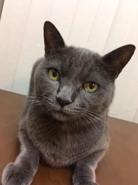 うちの家族