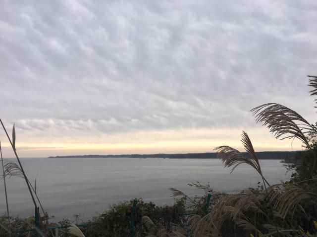 南三陸の海は…