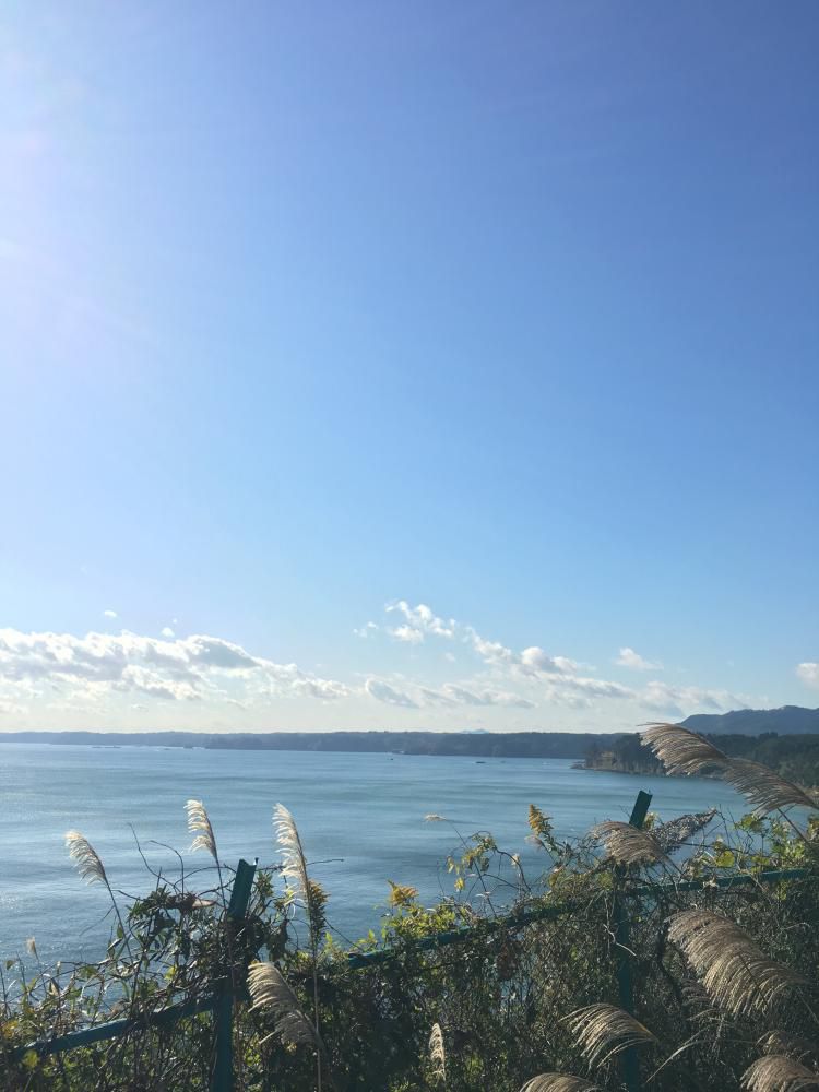 今週の海は
