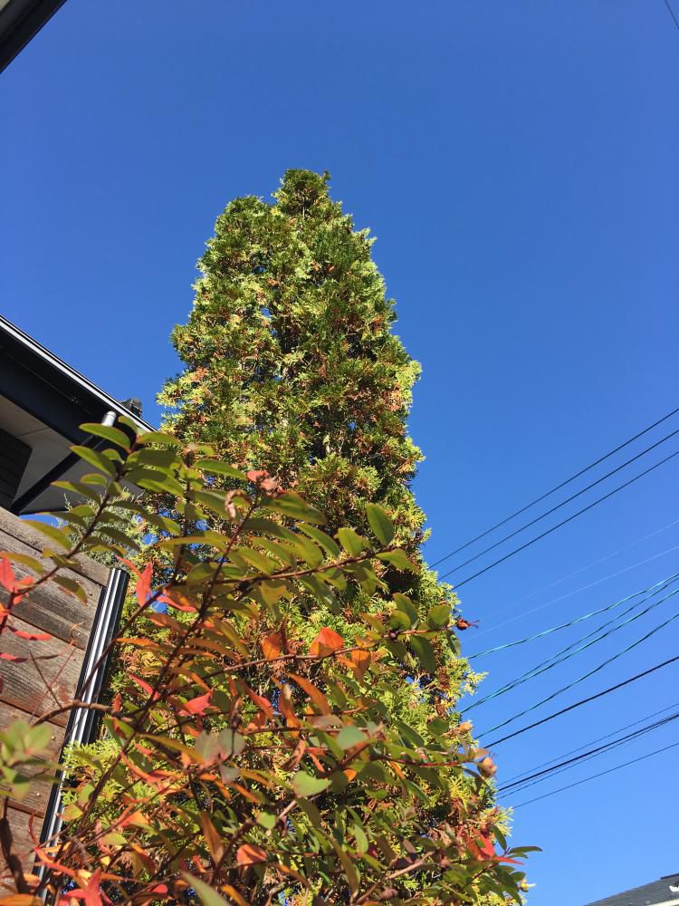 営繕工事より！！