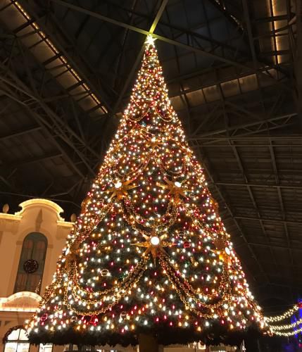 もうすぐクリスマス☆